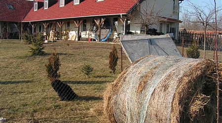 Széna, szalma, köpönyeg